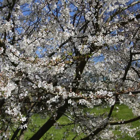 Polkvitz Casa vacanze Marlow